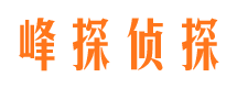 开县市调查公司